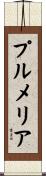 プルメリア Scroll