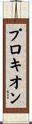 プロキオン Scroll