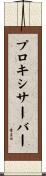プロキシサーバー Scroll