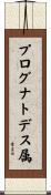 プログナトデス属 Scroll