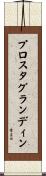 プロスタグランディン Scroll