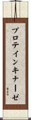 プロテインキナーゼ Scroll