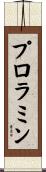 プロラミン Scroll