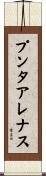 プンタアレナス Scroll