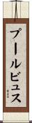 プールビュス Scroll