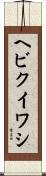 ヘビクイワシ Scroll