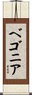 ベゴニア Scroll