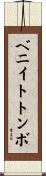 ベニイトトンボ Scroll