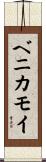 ベニカモイ Scroll