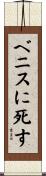 ベニスに死す Scroll