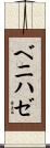 ベニハゼ Scroll