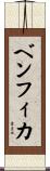 ベンフィカ Scroll