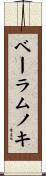 ベーラムノキ Scroll