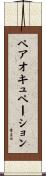 ペアオキュペーション Scroll