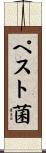 ペスト菌 Scroll