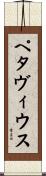 ペタヴィウス Scroll