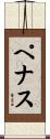 ペナス Scroll