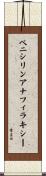 ペニシリンアナフィラキシー Scroll