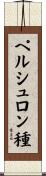 ペルシュロン種 Scroll
