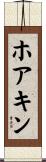 Joaquin Scroll