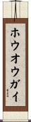 ホウオウガイ Scroll