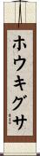 ホウキグサ Scroll