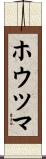 ホウツマ Scroll