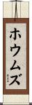 ホウムズ Scroll