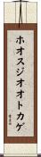 ホオスジオオトカゲ Scroll