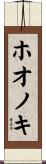 ホオノキ Scroll