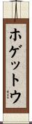 ホゲットウ Scroll