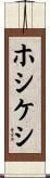ホシケシ Scroll