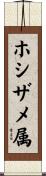 ホシザメ属 Scroll