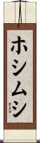 ホシムシ Scroll