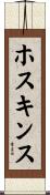 ホスキンス Scroll