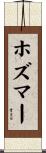 ホズマー Scroll