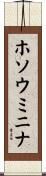 ホソウミニナ Scroll