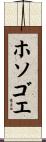 ホソゴエ Scroll