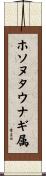 ホソヌタウナギ属 Scroll