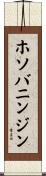 ホソバニンジン Scroll