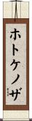 ホトケノザ Scroll