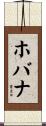 ホバナ Scroll