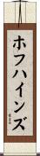 ホフハインズ Scroll