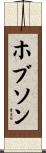 Hobson Scroll