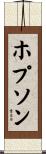 Hopson Scroll