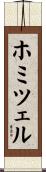 ホミツェル Scroll