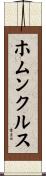 ホムンクルス Scroll