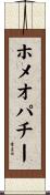 ホメオパチー Scroll