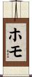 ホモ Scroll