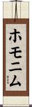 ホモニム Scroll